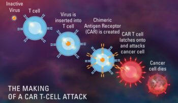 CAR-T-Cell- therapy in India