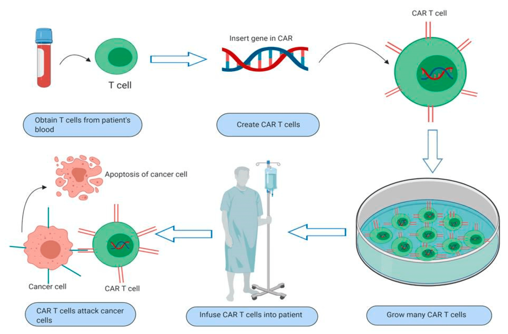 Т терапия. Car t Cell Therapy. Car-т-клетки. Car-t терапия. Т-клеточная терапия.