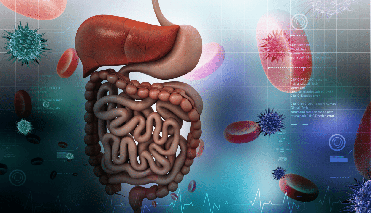 T cell therapy for digestive system