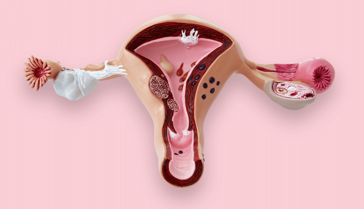 Шілтерлі маскадағы қыздар