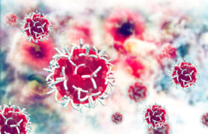 Padcev for urothelial cancer treatment