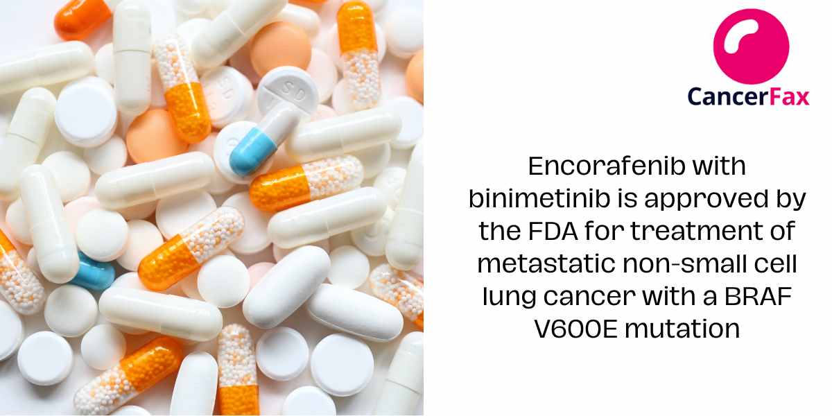 FDA approves encorafenib with binimetinib for metastatic non-small cell lung cancer with a BRAF V600E mutation