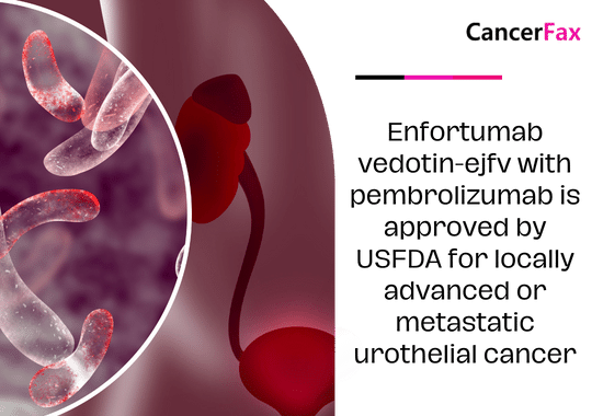 Enfortumab vedotin-ejfv with pembrolizumab is approved by USFDA for locally advanced or metastatic urothelial cancer