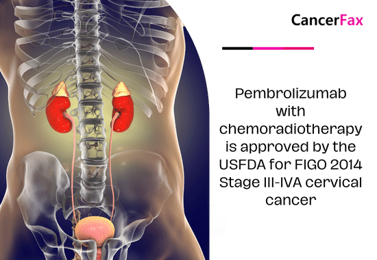 Pembrolizumab with chemoradiotherapy is approved by the USFDA for FIGO 2014 Stage III-IVA cervical cancer