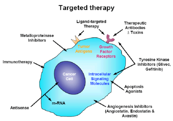 Targeted therapy for advanced cancer treatment