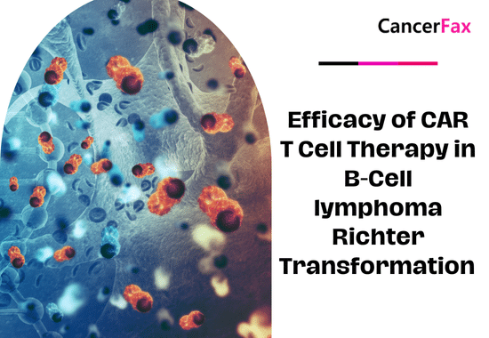 Efficacy of CAR T Cell Therapy in B-Cell lymphoma Richter Transformation