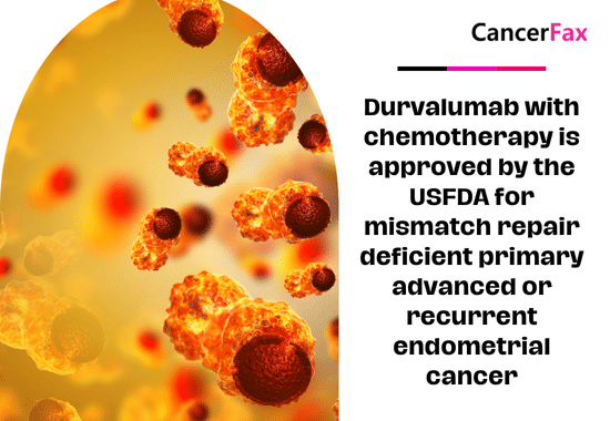 Durvalumab with chemotherapy is approved by the USFDA for mismatch repair deficient primary advanced or recurrent endometrial cancer