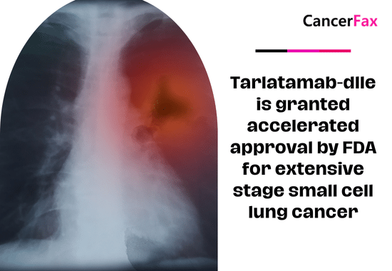 Tarlatamab-dlle is granted accelerated approval by FDA for extensive stage small cell lung cancer