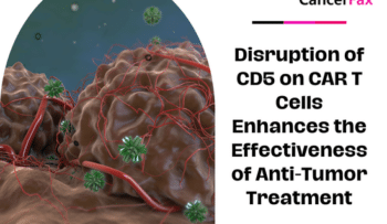 Disruption of CD5 on CAR T Cells Enhances the Effectiveness of Anti-Tumor Treatment