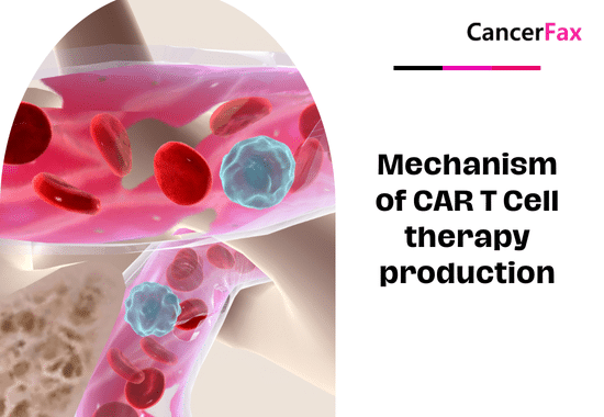 Mechanism of CAR T Cell therapy