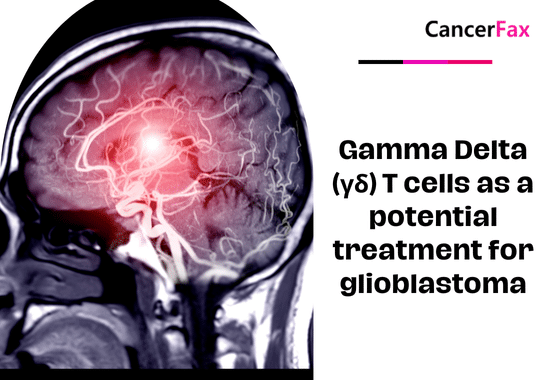 Gamma Delta (γδ) T cells as a potential treatment for glioblastoma