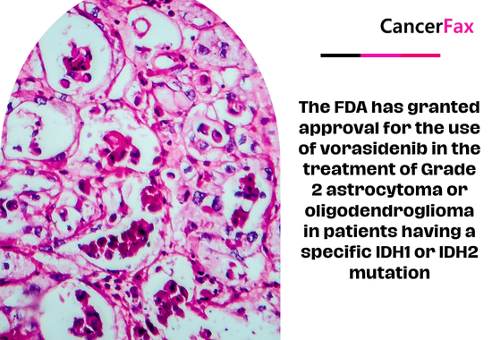 The FDA has granted approval for the use of vorasidenib in the treatment of Grade 2 astrocytoma or oligodendroglioma in patients having a specific IDH1 or IDH2 mutation